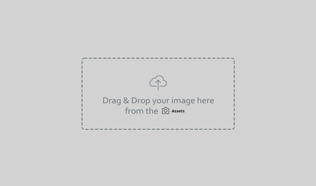 Image Title: If somebody hovers the image it appears.