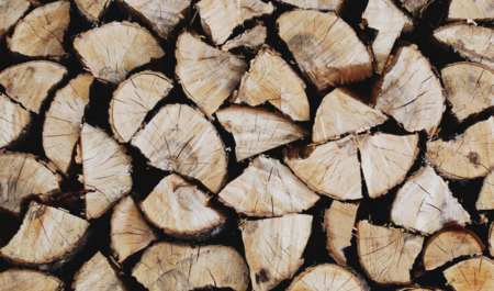 Drvo | © Patrick Tomasso