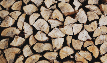Palivové dříví | © Patrick Tomasso