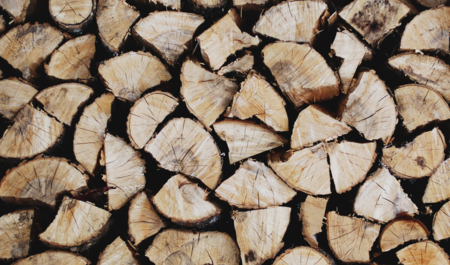 Gestapeltes Holz | © Patrick Tomasso